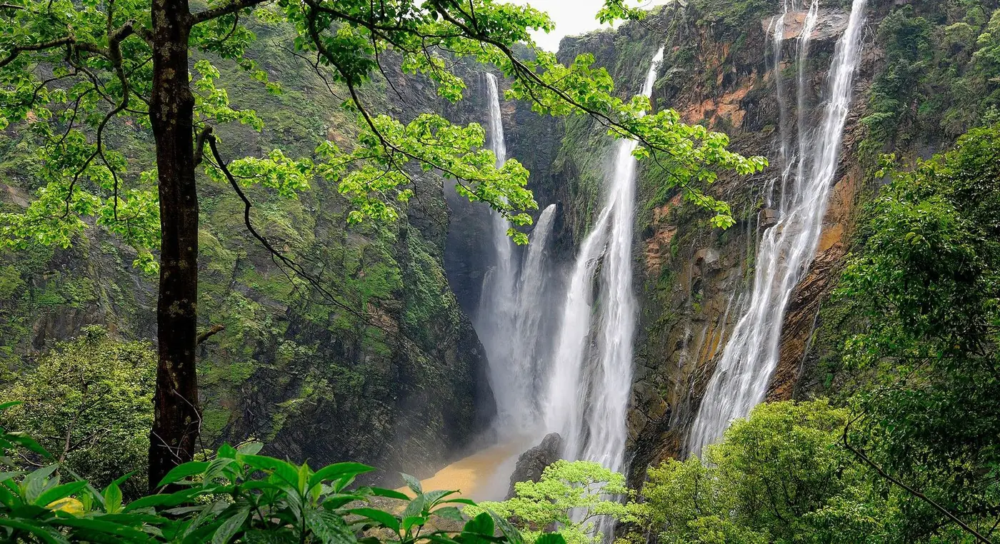 Hutan dan perairan